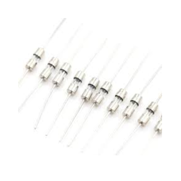 2A Axial Fuse