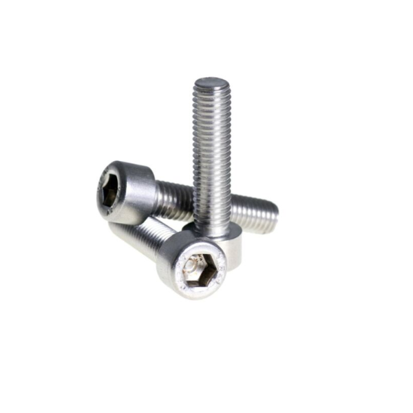 M4 x 30 Socket Head Allen Cap SS Screw Pack 10