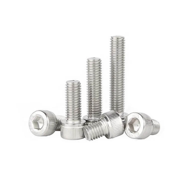 M2 x 10 Socket Head Allen Cap SS Screw Pack 20