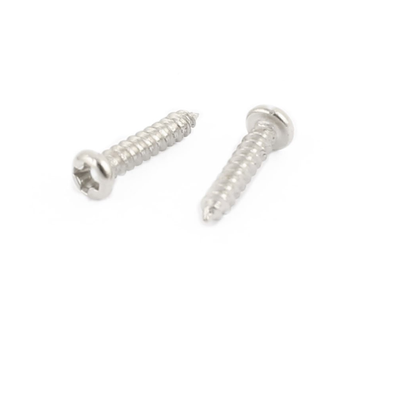 M2 x 10 Philips Head Round SS Screw 10 pcs