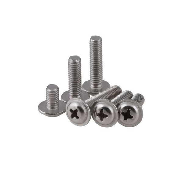 M4 x 10 Philips Head Round SS Screw Pack 20