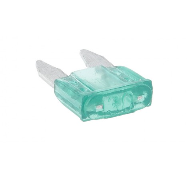 30A Small Car Blade Fuse Clippers  (pack of 10)