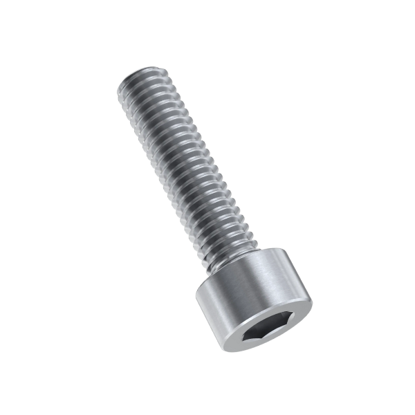 M2 x 8 Socket Head Allen Cap SS Screw Pack 10