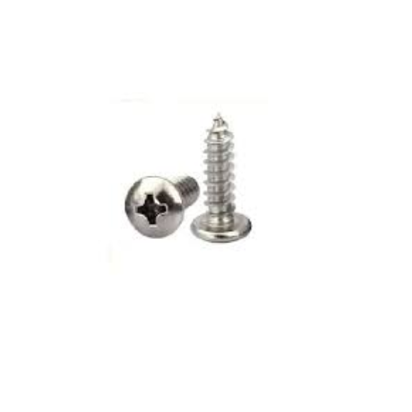 M4 x 25 Philips Head Round SS Screw B type (Pack of 10)